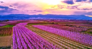 Και όμως αυτή η ροζ θάλασσα είναι στην Ελλάδα