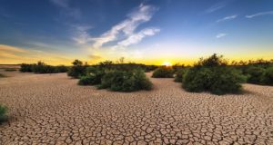 ΕΡΕΥΝΑ: Μαζική μετανάστευση λόγω των κλιματικών αλαλγών