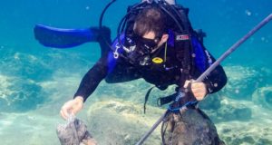 Περιβαλλοντικό πρόγραμμα Dixan στα πλαίσια της «Παγκόσμιας Ημέρας Χελώνας»