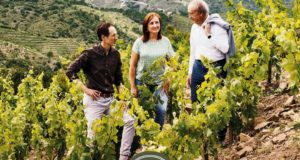 Familia Torres – H πιο αξιοθαύμαστη μάρκα κρασιού στον κόσμο