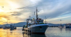 11.000 τόνοι αλιευτικών εργαλείων «χάνονται» στις ευρωπαϊκές θάλασσες κάθε χρόνο