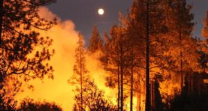 «Κόκκινος Συναγερμός» για τον κίνδυνο πρόκλησης δασικών πυρκαγιών