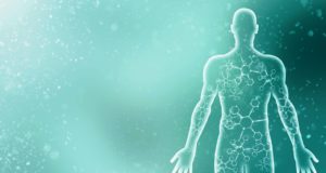 Η κλιματική αλλαγή επηρεάζει το μέγεθος του ανθρώπινου σώματος