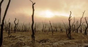 Ένα βήμα πιο κοντά στην αντιμετώπιση της κλιματικής αλλαγής με πρωτοβουλία της Κύπρου