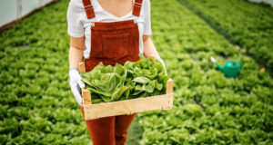 Από το αγρόκτημα στο πιάτο: Δρομολόγηση του κώδικα δεοντολογίας της ΕΕ