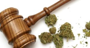 Ήρθαν στην Κύπρο με 27,5 κιλά κάνναβη