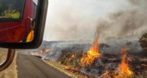 Τους κατήγγειλε η Αστυνομία και για εκδίκηση έβαζαν φωτιές