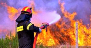 Πυρκαγιές: Δέσμη επισημάνσεων και εισηγήσεων από το ΕΤΕΚ