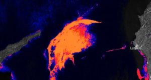 Έφτασε στον Απόστολο Ανδρέα η πετρελαιοκηλίδα από τη Συρία –ΒΙΝΤΕΟ