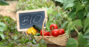 Κομισιόν: Καθιέρωση «Ημέρας βιολογικής παραγωγής της ΕΕ»