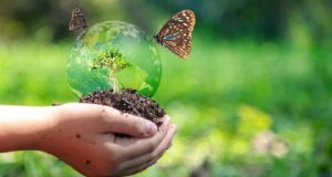 Βιοποικιλότητα: Νέες κατευθυντήριες γραμμές για τα είδη που προστατεύονται