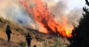 Chevron: Εισφορά $10,000 στο Ταμείο Ανάκαμψης Δασικών Πυρκαγιών Κύπρου