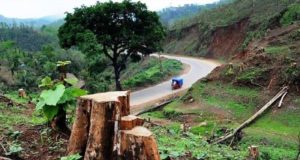 Η ΕΕ ενέκρινε νέες προτάσεις για να σταματήσει η αποψίλωση των δασών