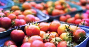 Σταθερή αύξηση στο εμπόριο αγροδιατροφικών προϊόντων της ΕΕ