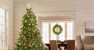 Φιλοξενήστε ένα φοιτητή τα Χριστούγεννα