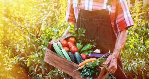 Η ΕΕ εξακολουθεί να στηρίζει την προώθηση βιώσιμων αγροδιατροφικών προϊόντων