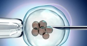 Η Κύπρος η μόνη χώρα στον κόσμο που παρέχει επιδότηση €2,000 για κρυοσυντήρηση ωαρίων