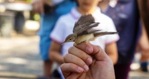 Μεγάλης σημασίας το δίκτυο Νatura