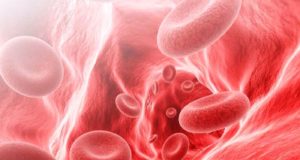 NIPD GENETICS: Στη διάθεση των ασθενών ως αυτόνομη γενετική εξέταση, το Πάνελ Αιμορροφιλίας και Θρομβοφιλίας