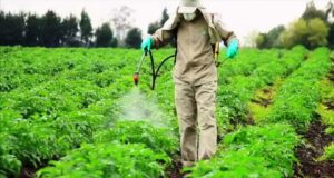 Συνεχίζεται η μείωση της χρήσης χημικών φυτοφαρμάκων στην ΕΕ