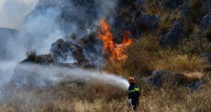 Προσπάθησε να κάψει το Κρατικό δάσος της Λεμεσού – Συνελήφθη 33χρονος