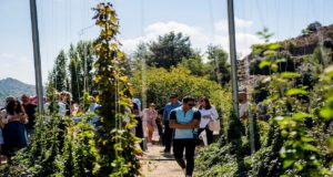 Aπό τον Όμιλο Φ. Φωτιάδης και την μπίρα Λέων η πρώτη καλλιέργεια λυκίσκου στην Κύπρο