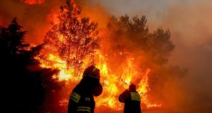 Δασικές πυρκαγιές: Συζήτηση των υπουργών της ΕΕ για πρόληψη και προστασία