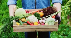 Τα βιολογικά τρόφιμα “απάντηση” στην αντιμετώπιση της κλιματικής αλλαγής