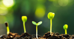 Οι Ευρωπαίοι πολίτες συμφωνούν στο ότι χρειάζεται προσπάθεια για μια πιο δίκαιη πράσινη μετάβαση