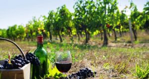 Σχέδιο στήριξης του αμπελοοινικού τομέα λόγω αποθεμάτων – Ποιοι οι δικαιούχοι