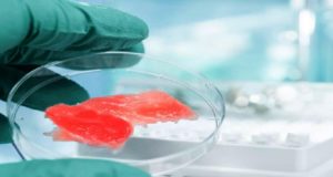 Η Ιταλία απαγορεύει το εργαστηριακό κρέας