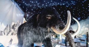 Έρχεται το συναρπαστικό και εκπαιδευτικό θεματικό πάρκο «Εποχή των Παγετώνων