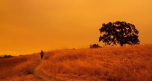 Και επίσημα το θερμότερο έτος όλων των εποχών το 2023