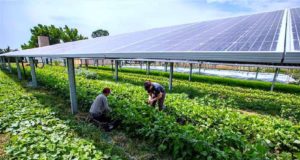 ΕΚ: Το ΕΚ είναι έτοιμο για την απλούστευση της ευρωπαϊκής αγροτικής νομοθεσίας