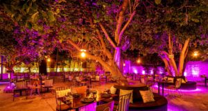 Dionysus Mansion: Το εστιατόριο που θέλεις να επιστρέφεις ξανά