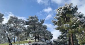 «Mίνι» χειμώνας – Χιονίζει στο Τρόοδος, έρχονται όμως ψηλές θερμοκρασίες