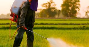 ΠΡΟΣΟΧΗ – Mόνιμη βλάβη στον εγκέφαλο ακόμη και μετά από σύντομη επαφή με ζιζανιοκτόνο