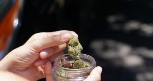 Προσοχή! Δηλητηριάσεις νεαρών από προϊόντα με κάνναβη και συνθετικά κανναβινοειδή που κυκλοφορούν στην αγορά