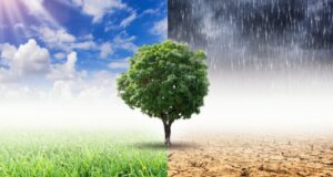 Το Ευρωπαϊκό Σύμφωνο για το Κλίμα ενισχύεται στην Κύπρο υποδεχόμενο τρεις νέες πρέσβειρες