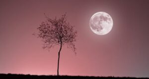 Ροζ Πανσέληνος: Πότε θα έχουμε το Πασχαλινό Φεγγάρι