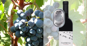 Γιαννούδι – Ένας από τους θησαυρούς της κυπριακής οινοποιίας – Καθοριστικός ο ρόλος της ΚΕΟ