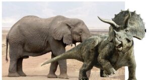 Αυτά είναι τα ζώα που έχουν εξαφανιστεί και θέλουν να «αναστήσουν» οι επιστήμονες – Μετά τους ανταρόλυκους