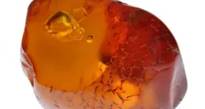 Μια πολύτιμη πέτρα αξίας $1,08 εκ. χρησιμοποιούνταν ως βαρίδι σε πόρτα