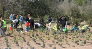 Ο Δήμος Λακατάμειας απέκτησε το δικό του Tiny Forest