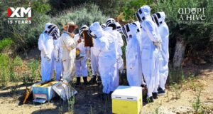 Η XM υιοθετεί κυψέλες μελισσών, στηρίζοντας έναν κρίσιμο κρίκο που απειλείται στην Κύπρο
