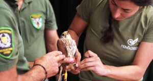 Εορτασμός για την Ευρωπαϊκή Ημέρα Natura 2000 με δραστηριότητες για μικρούς και μεγάλους