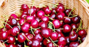 “Επιστρέφει” το Φεστιβάλ Κερασιού στον Κάμπο – Αυτές είναι οι ημερομηνίες