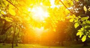 EΡΕΥΝΑ: Tο φως της ημέρας ενισχύει το ανοσοποιητικό σύστημα