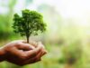 Plant Health 4 Life – Αναλαμβάνοντας απλές δράσεις που προστατεύουν τα φυτά