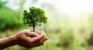 Tο τρίτο έτος της εκστρατείας #PlantHealth4Life παρέχει στους πολίτες τη δυνατότητα να γίνουν πρεσβευτές της υγείας των φυτών